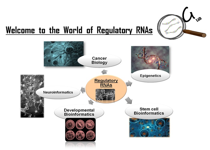 Research Theme of ZGLab
